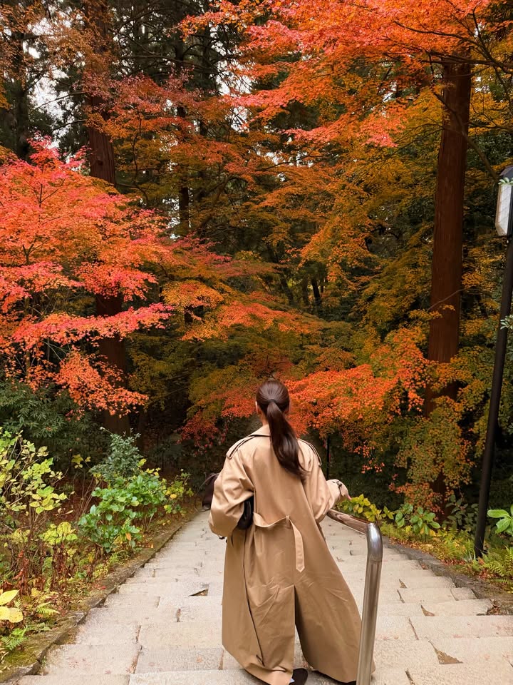 คิมมี่ - คิมเบอร์ลี่ แอน โวลเทมัส