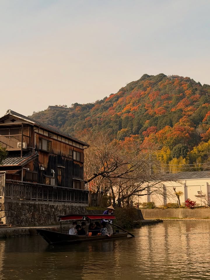 คิมมี่ - คิมเบอร์ลี่ แอน โวลเทมัส