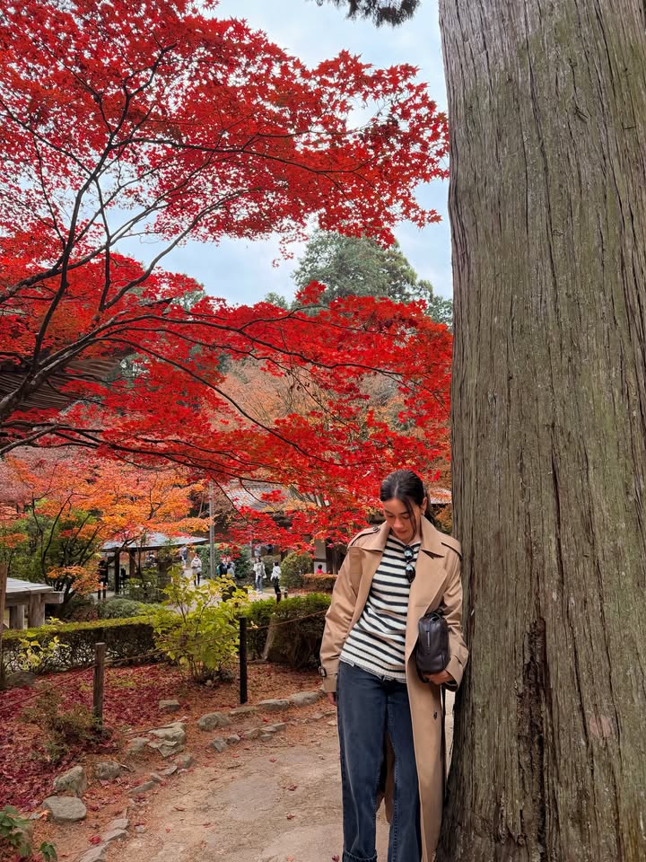 คิมมี่ - คิมเบอร์ลี่ แอน โวลเทมัส