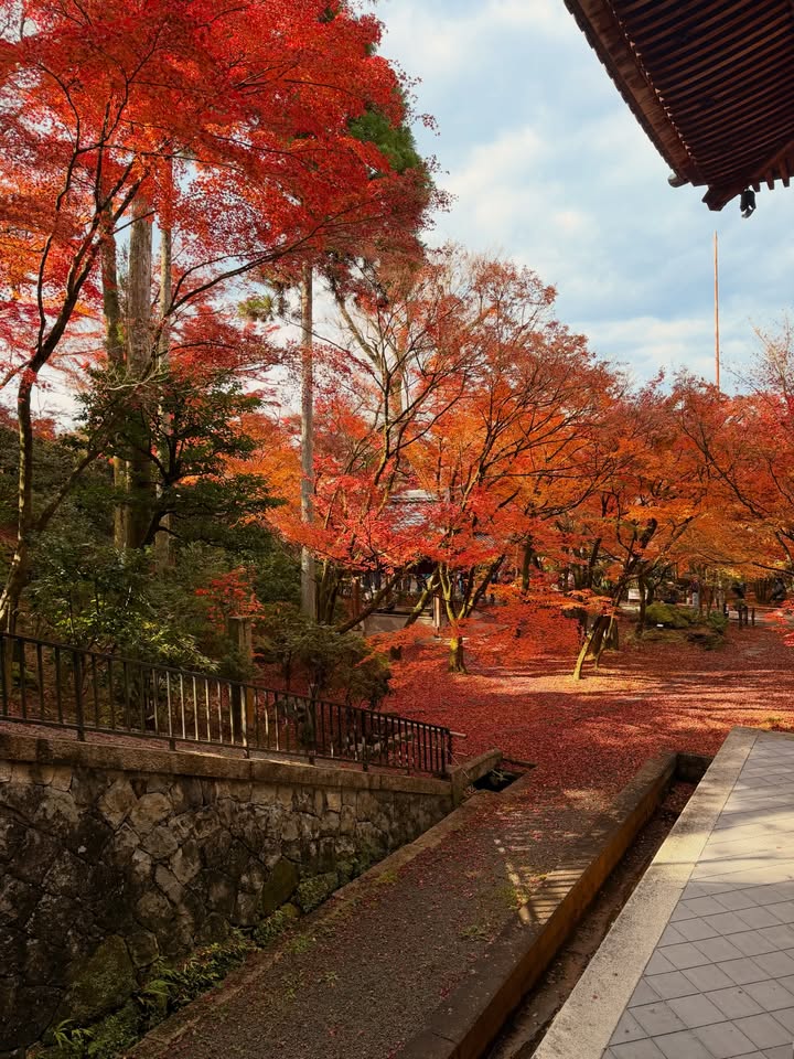 คิมมี่ - คิมเบอร์ลี่ แอน โวลเทมัส