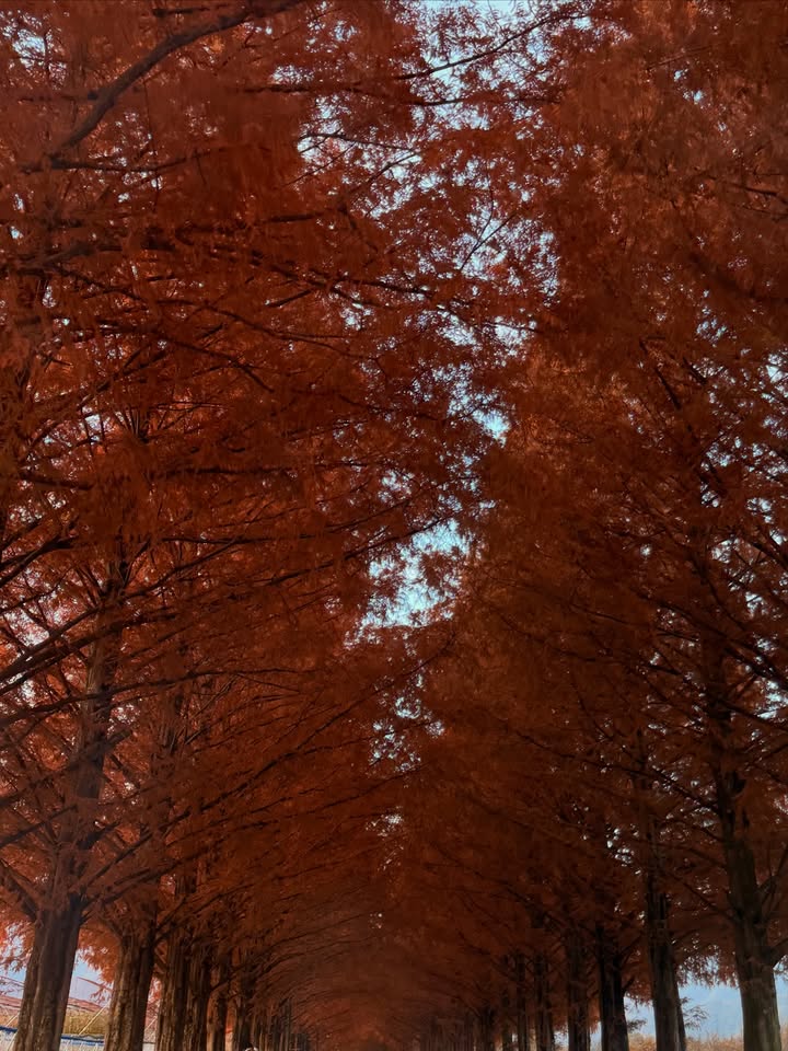 คิมมี่ - คิมเบอร์ลี่ แอน โวลเทมัส