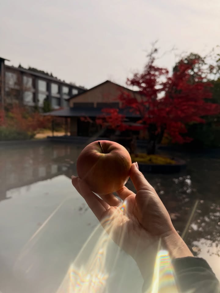 คิมมี่ - คิมเบอร์ลี่ แอน โวลเทมัส