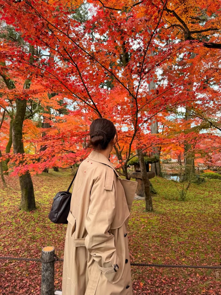 คิมมี่ - คิมเบอร์ลี่ แอน โวลเทมัส