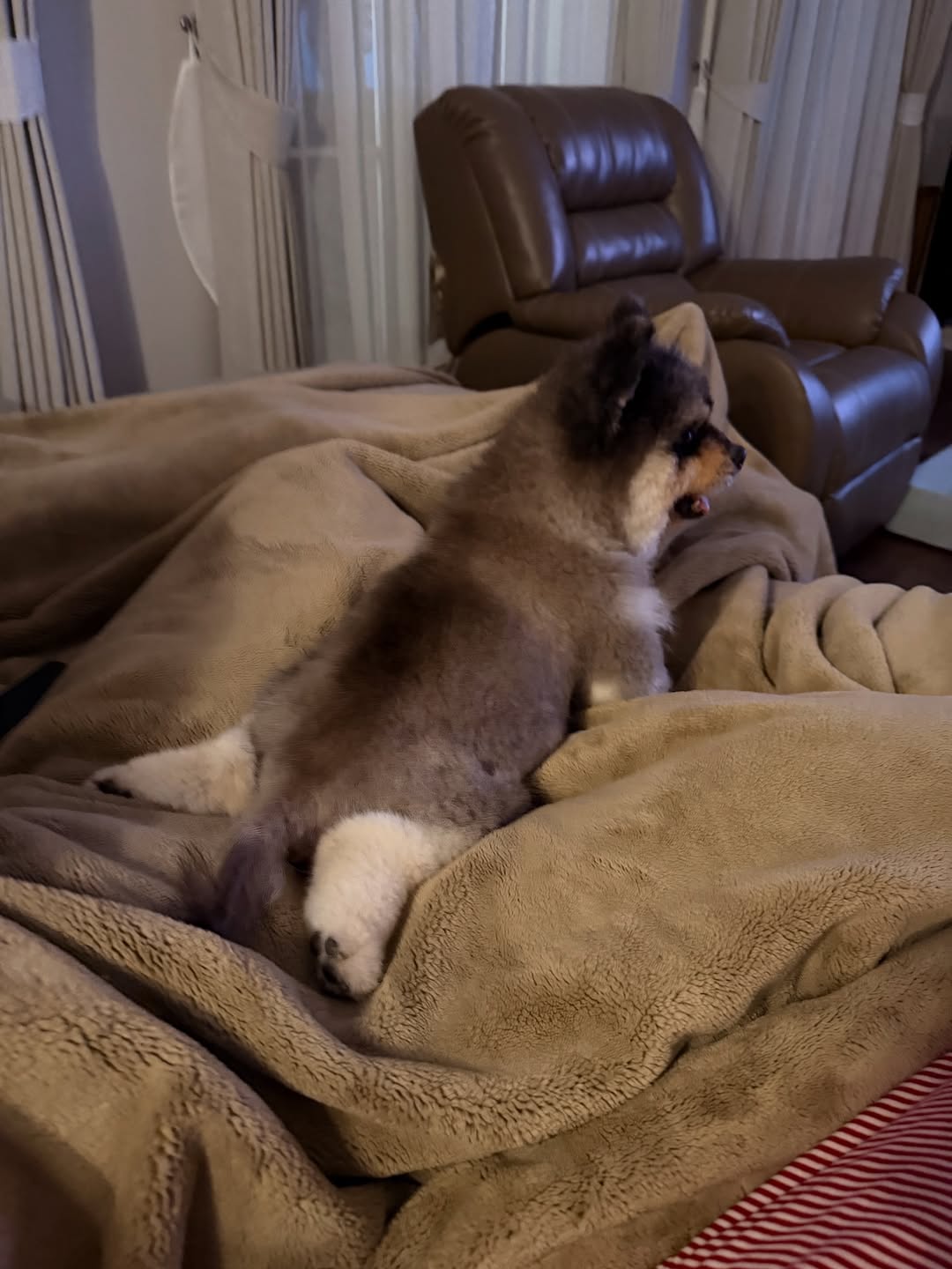 คิมมี่ - คิมเบอร์ลี่ แอน โวลเทมัส