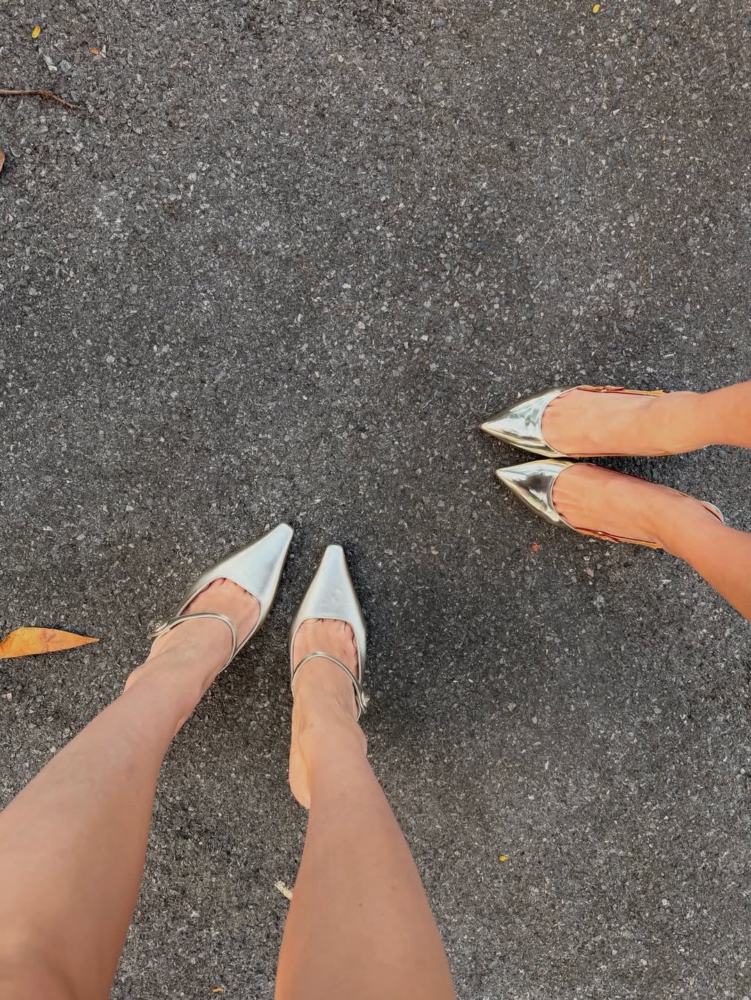 คิมมี่ - คิมเบอร์ลี่ แอน โวลเทมัส