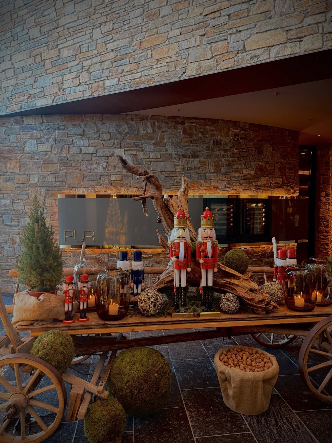 คิมมี่ - คิมเบอร์ลี่ แอน โวลเทมัส