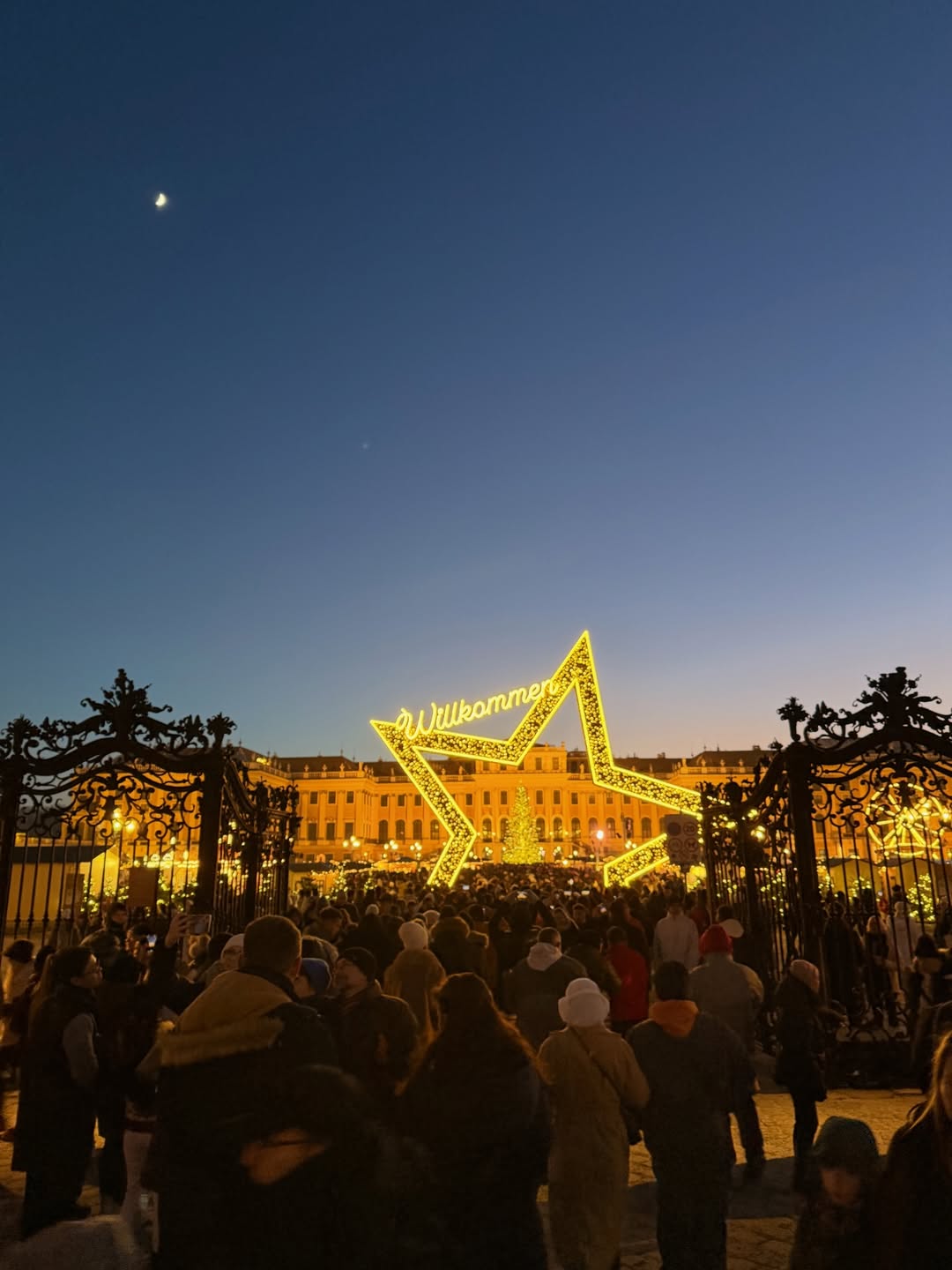 คิมมี่ - คิมเบอร์ลี่ แอน โวลเทมัส