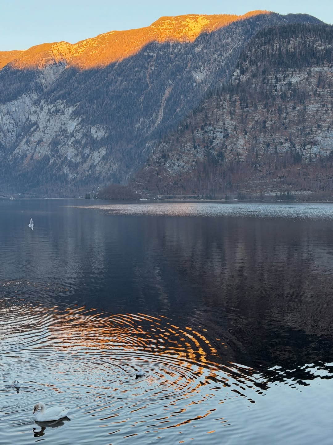 คิมมี่ - คิมเบอร์ลี่ แอน โวลเทมัส