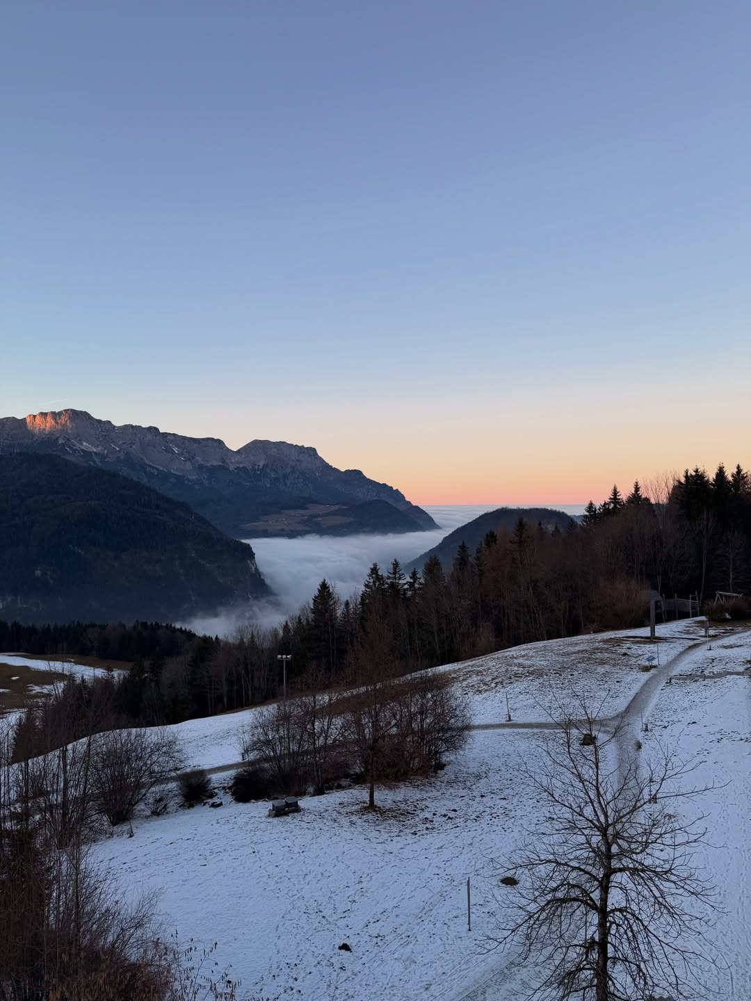 คิมมี่ - คิมเบอร์ลี่ แอน โวลเทมัส