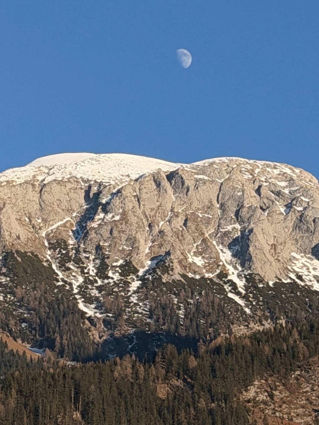 คิมมี่ - คิมเบอร์ลี่ แอน โวลเทมัส