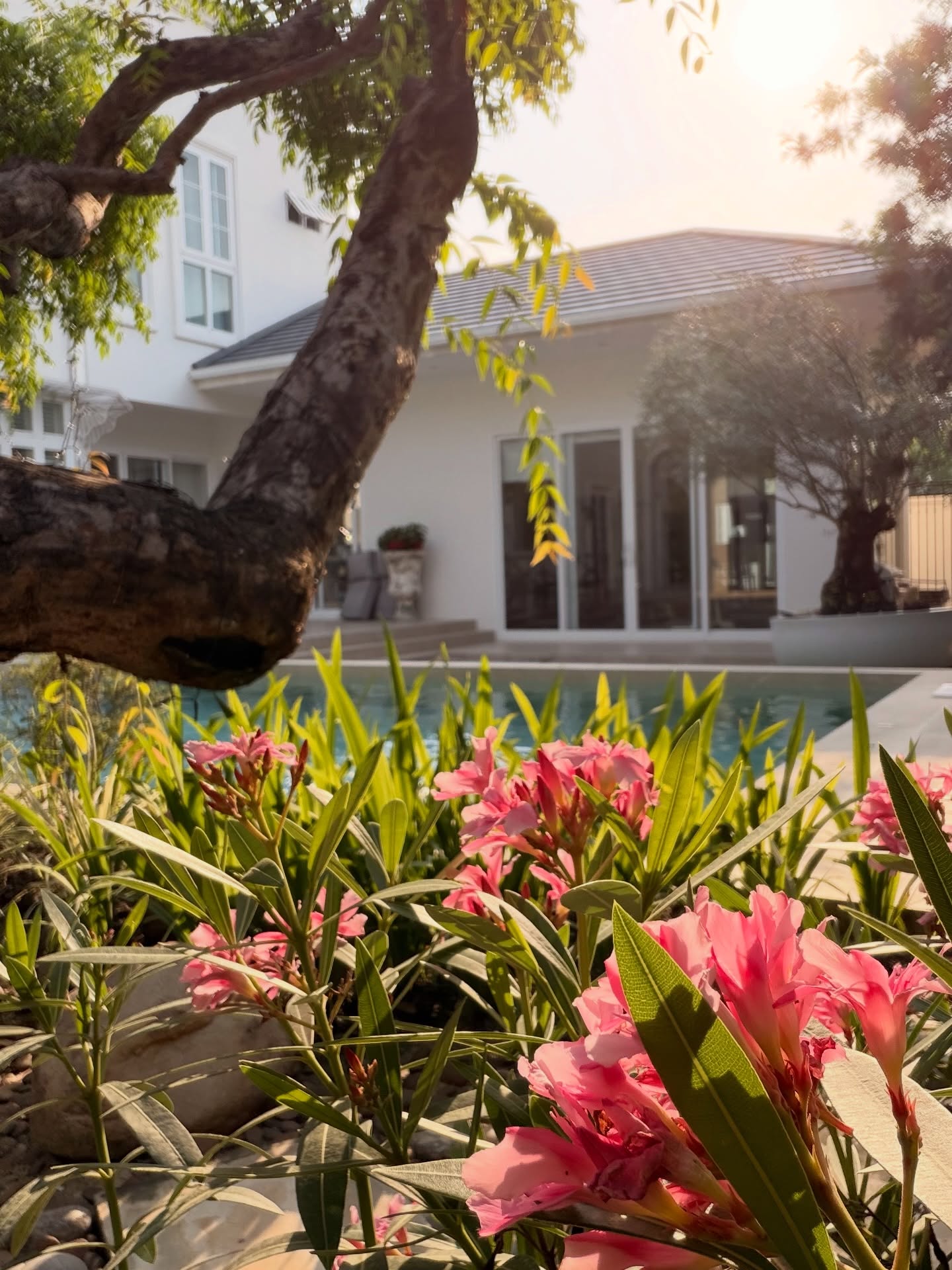 คิมมี่ - คิมเบอร์ลี่ แอน โวลเทมัส