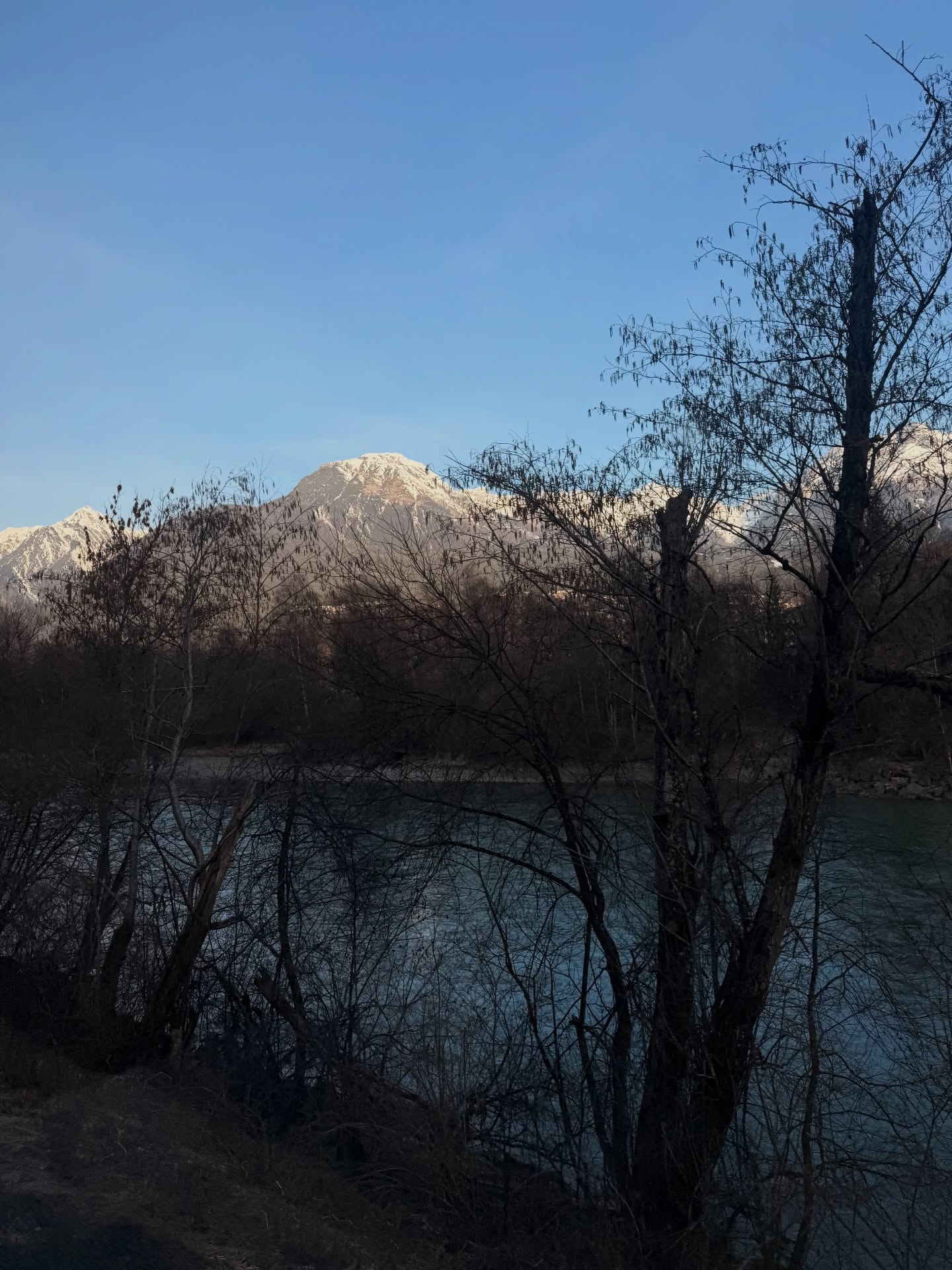 คิมมี่ - คิมเบอร์ลี่ แอน โวลเทมัส