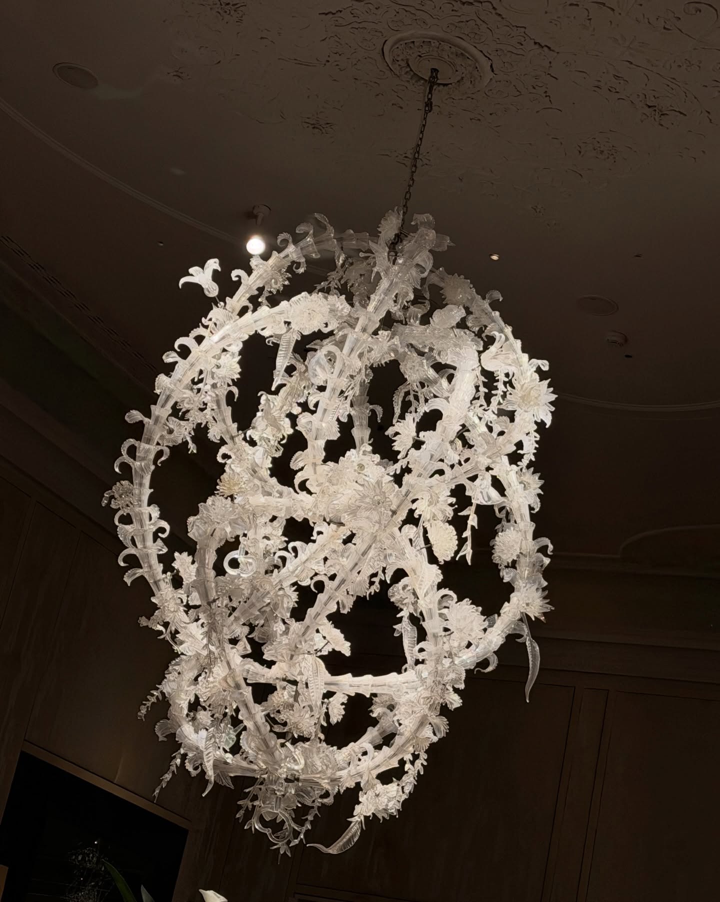 คิมมี่ - คิมเบอร์ลี่ แอน โวลเทมัส