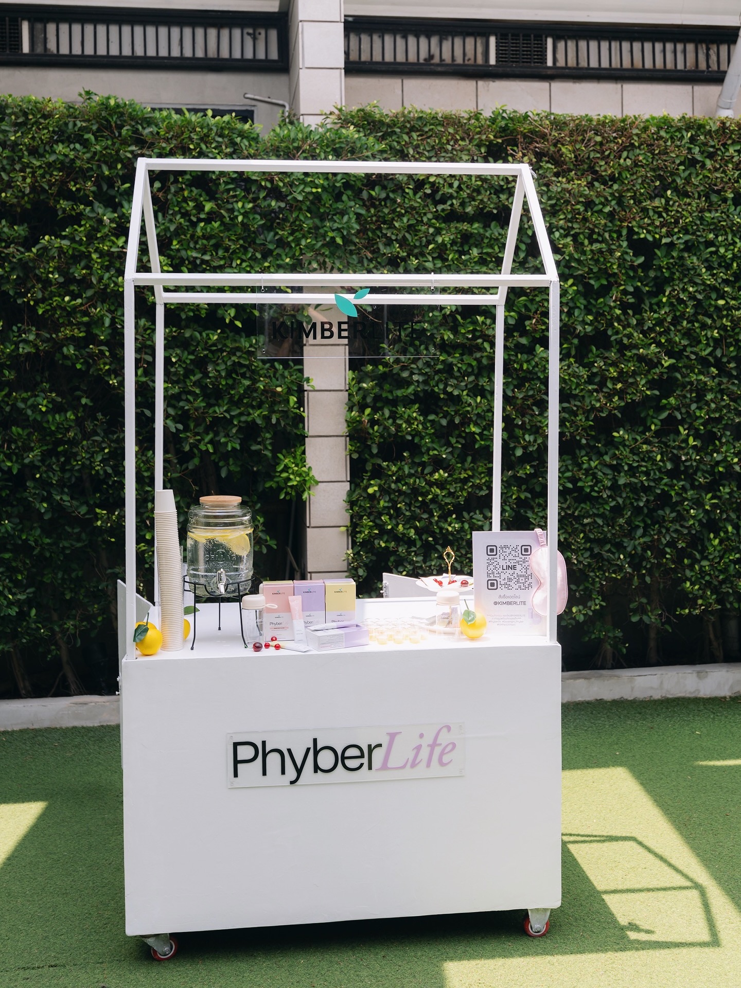 คิมมี่ - คิมเบอร์ลี่ แอน โวลเทมัส