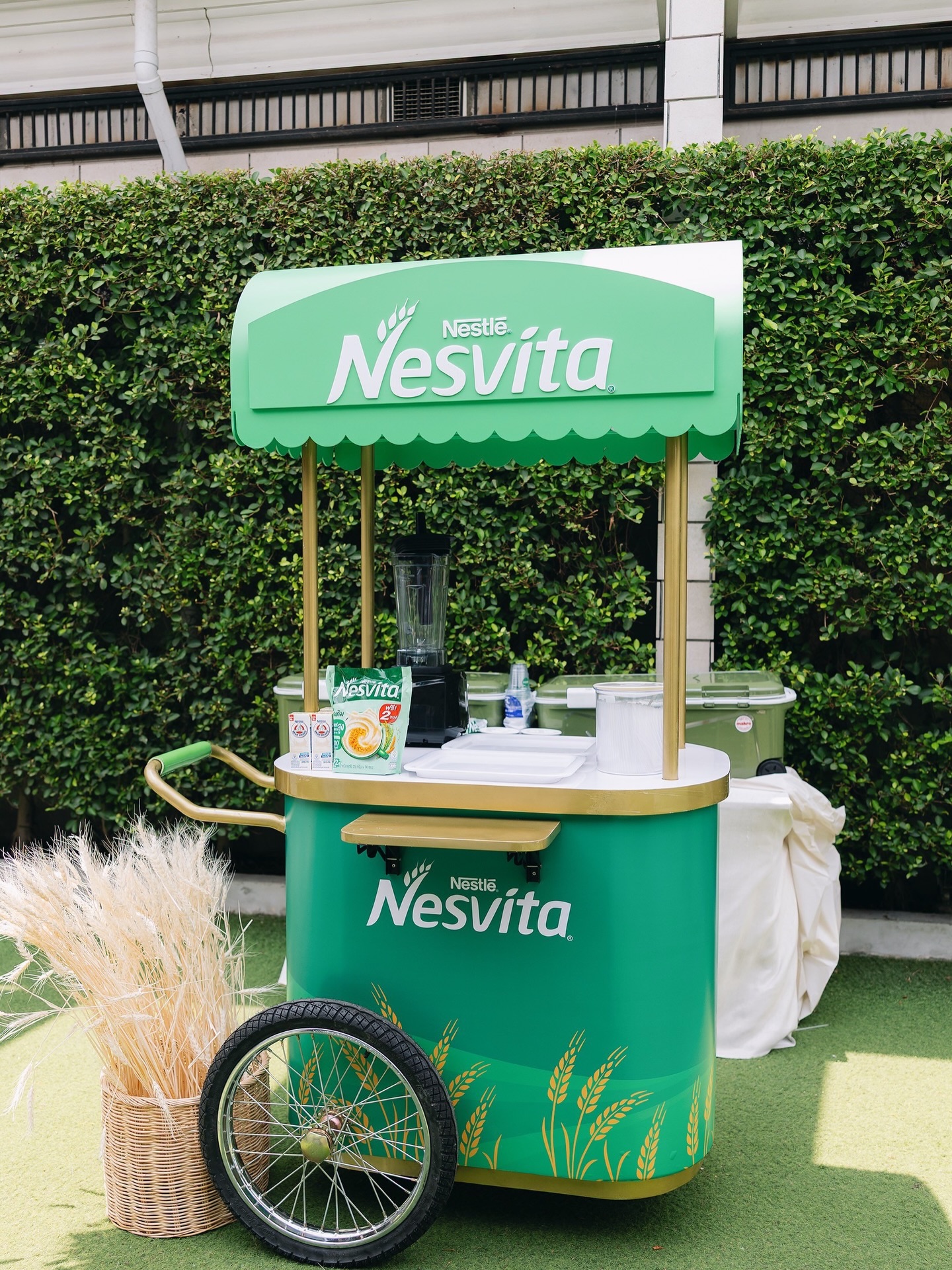 คิมมี่ - คิมเบอร์ลี่ แอน โวลเทมัส