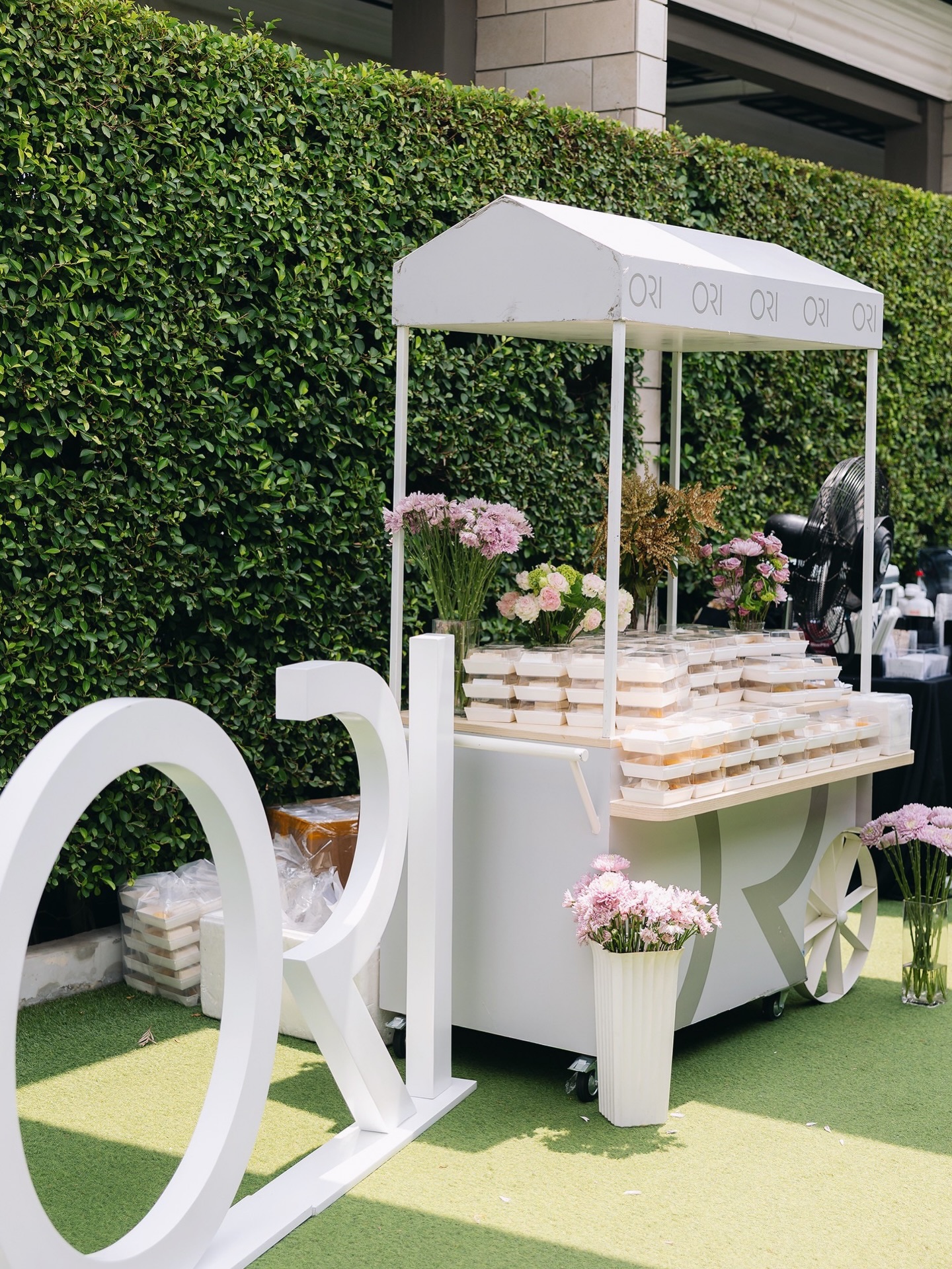 คิมมี่ - คิมเบอร์ลี่ แอน โวลเทมัส