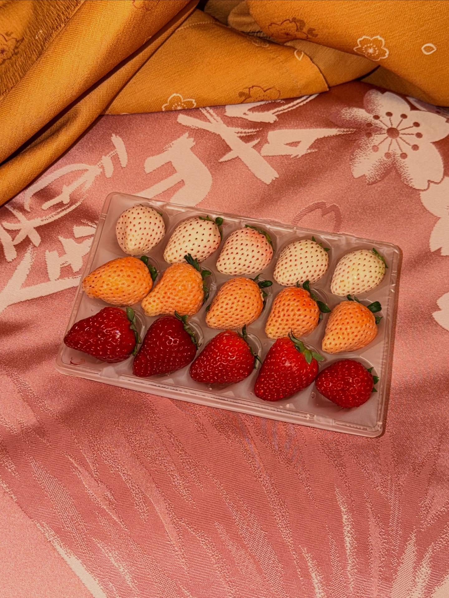 คิมมี่ - คิมเบอร์ลี่ แอน โวลเทมัส