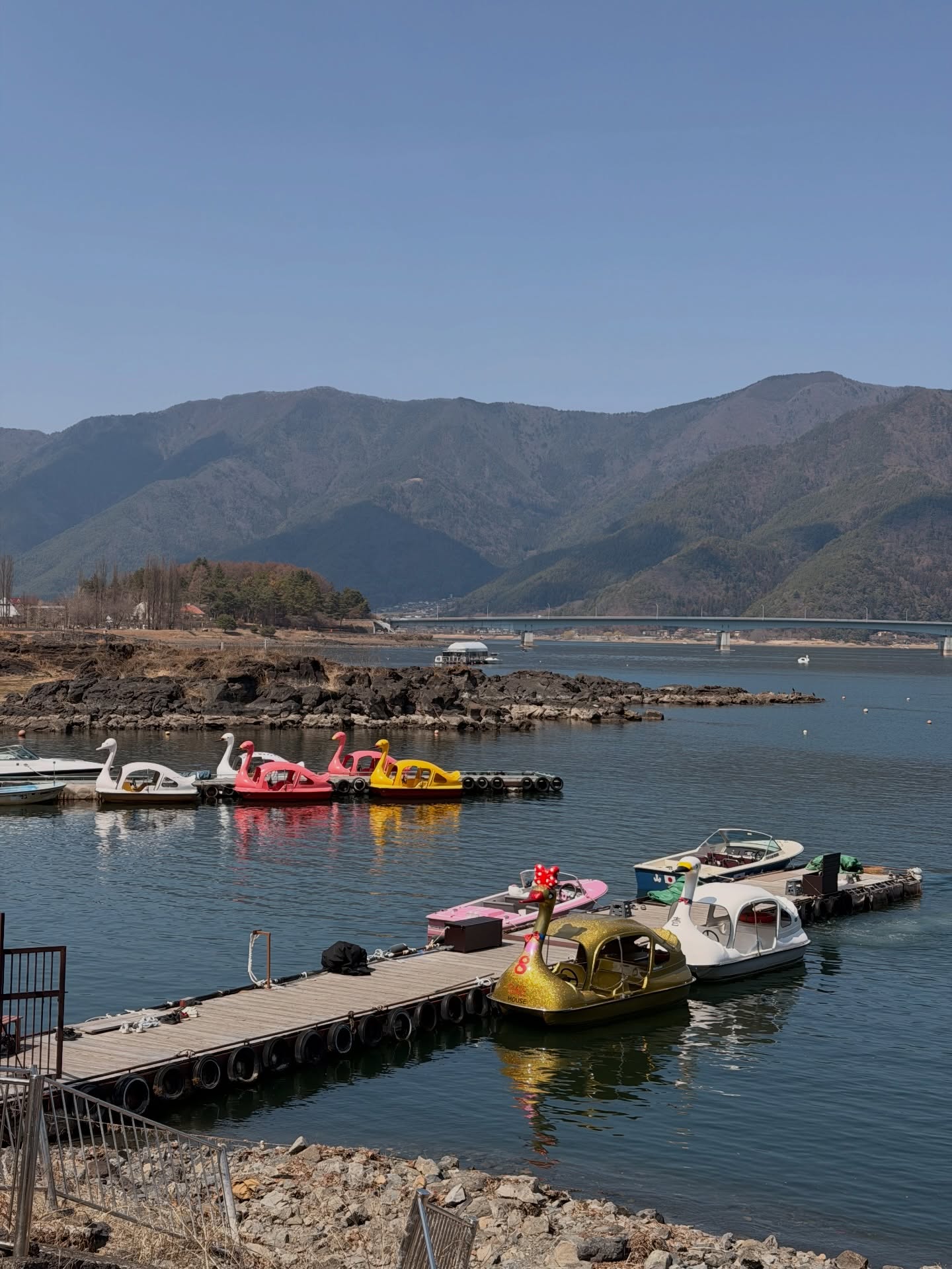 คิมมี่ - คิมเบอร์ลี่ แอน โวลเทมัส