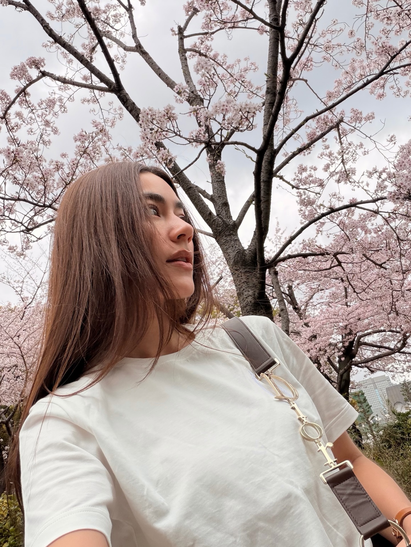 คิมมี่ - คิมเบอร์ลี่ แอน โวลเทมัส