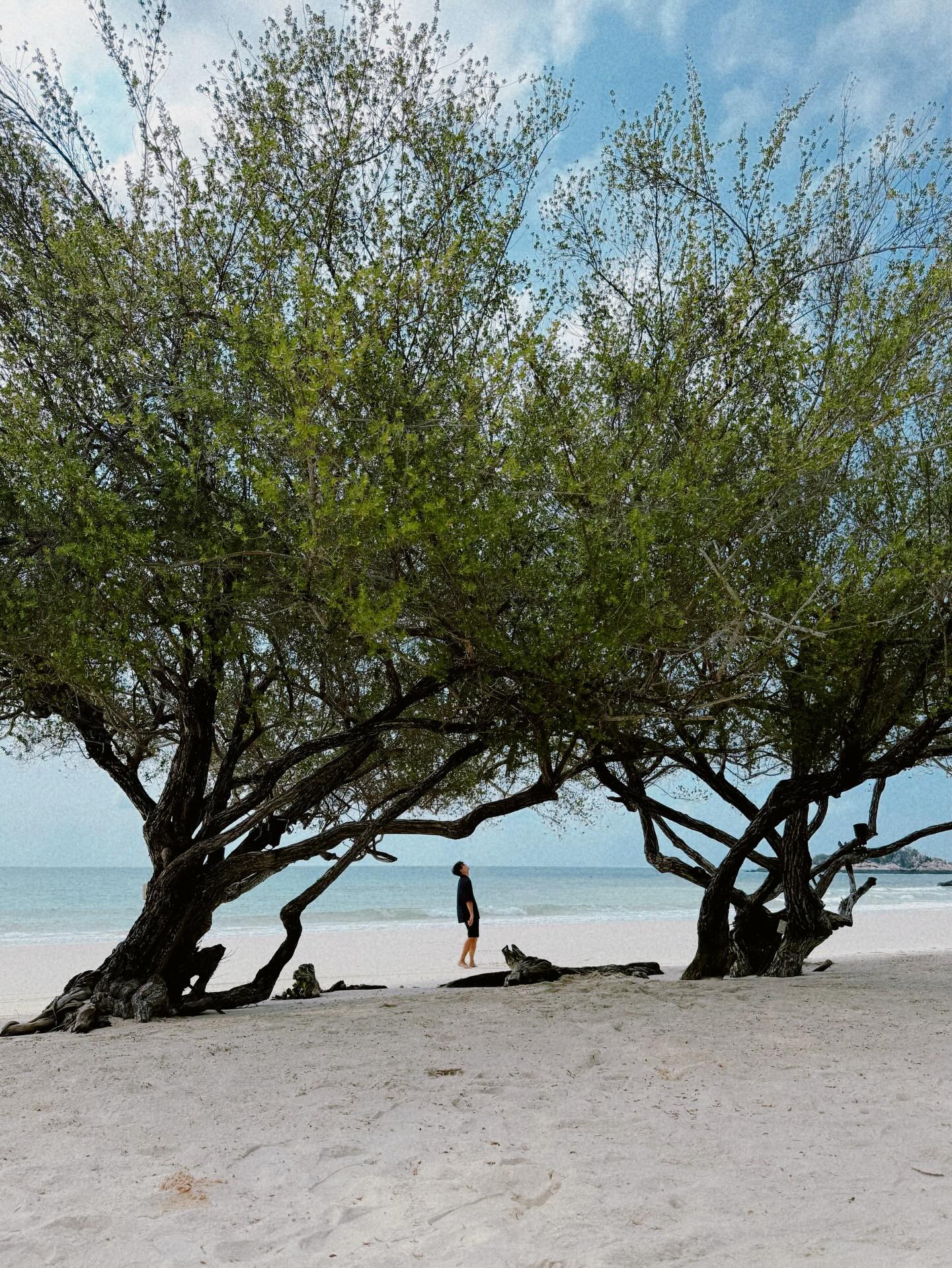 แดน - วรเวช ดานุวงศ์