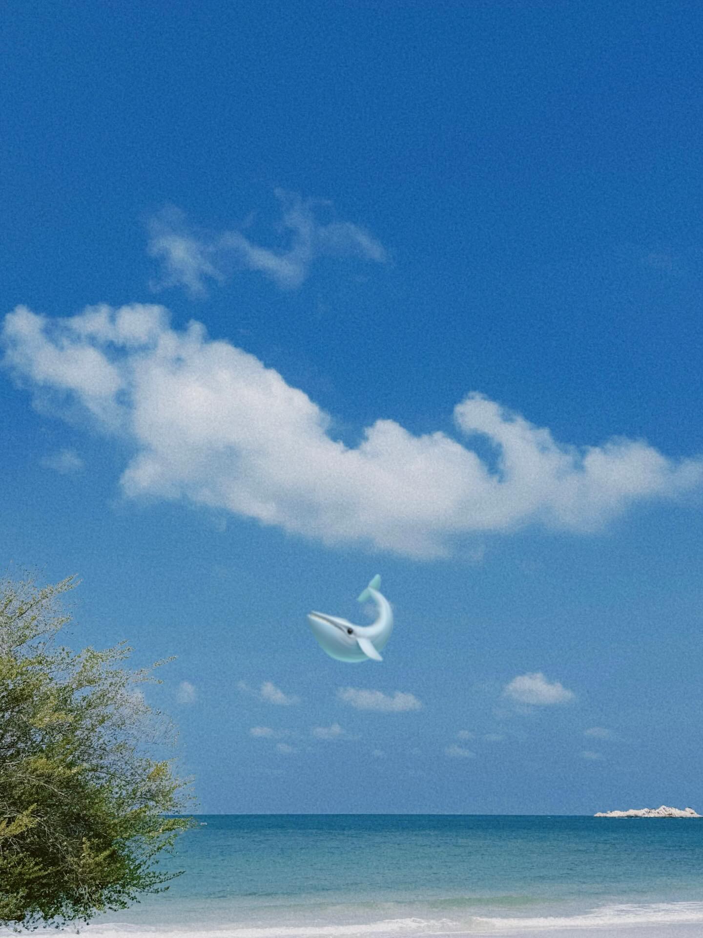 แดน - วรเวช ดานุวงศ์