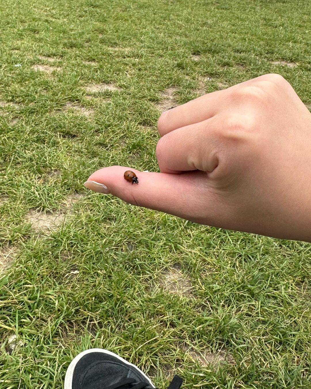 ลิซ่า - ลลิษา มโนบาล