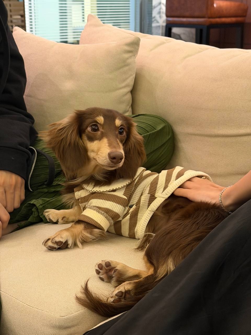 ลิซ่า - ลลิษา มโนบาล