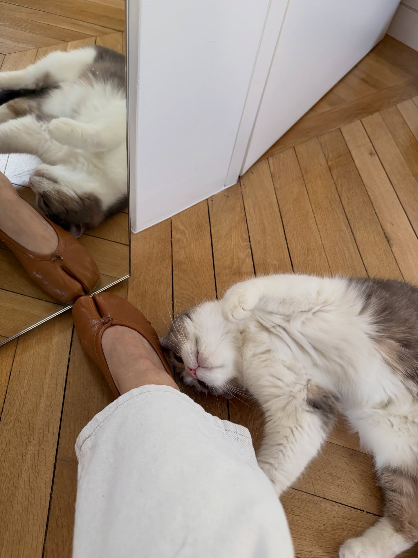 ลิซ่า - ลลิษา มโนบาล