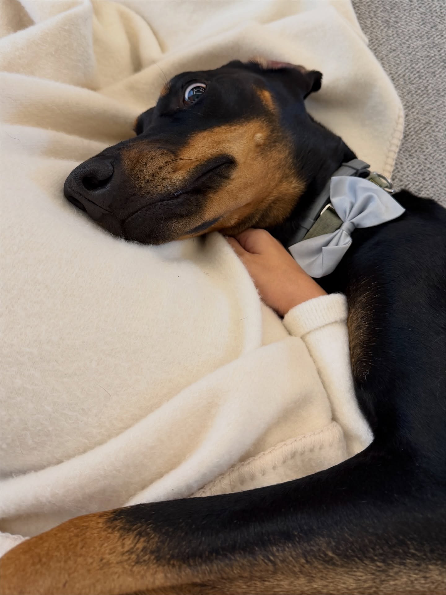 ลิซ่า - ลลิษา มโนบาล