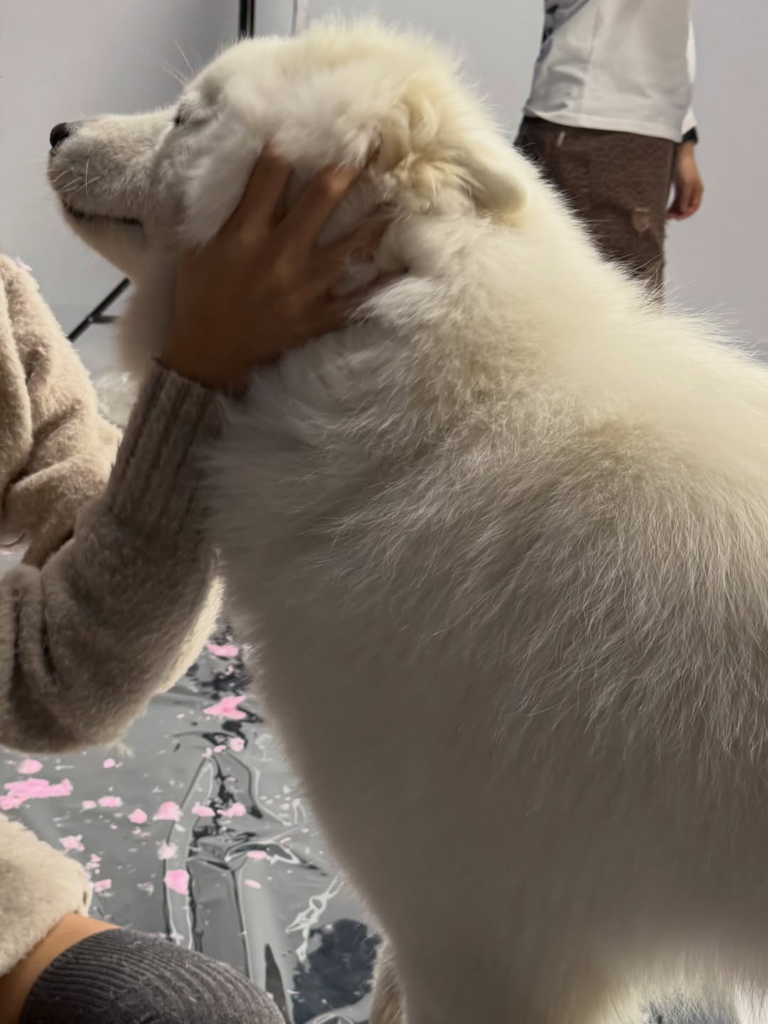 ลิซ่า - ลลิษา มโนบาล