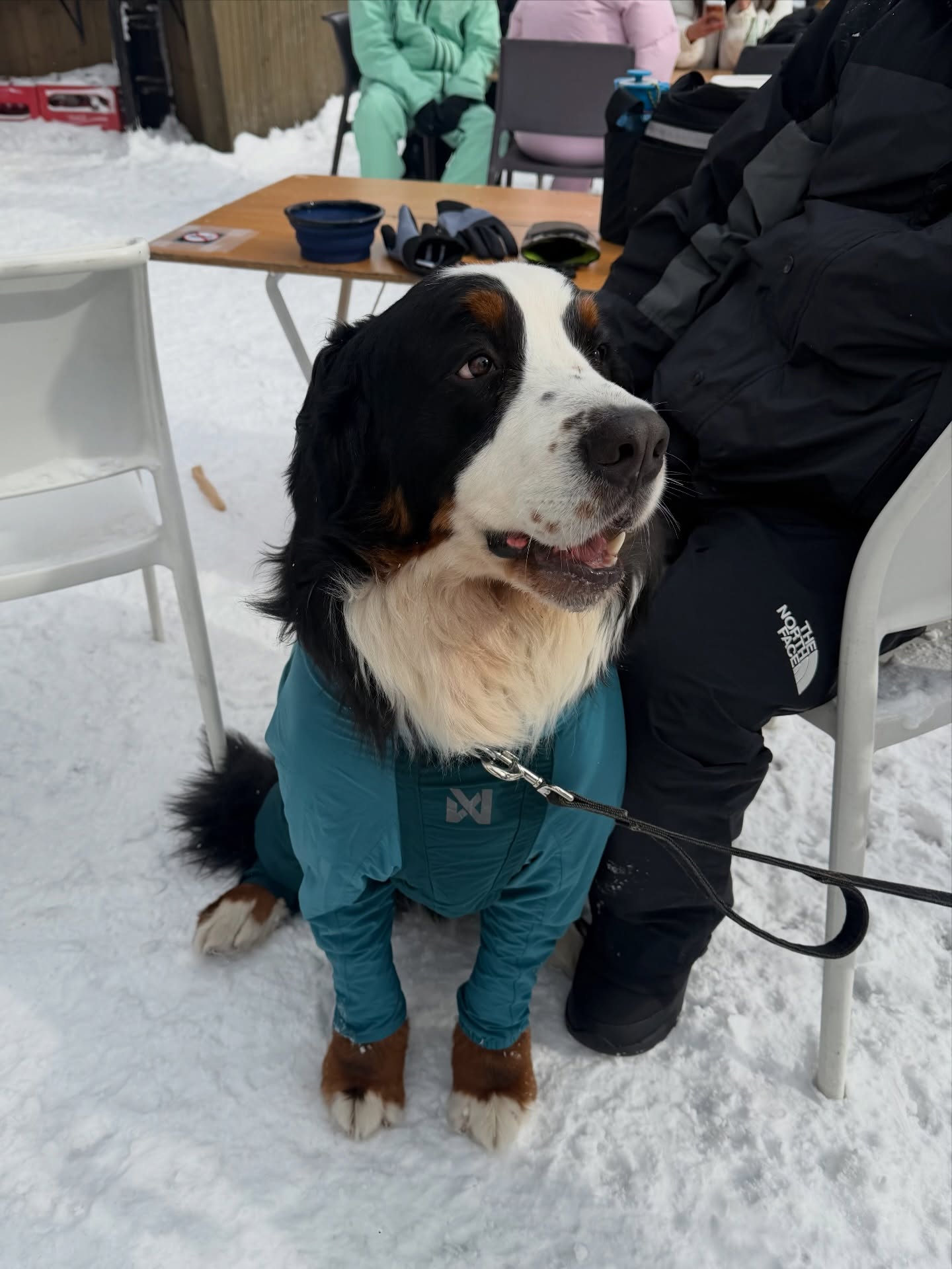 ลิซ่า - ลลิษา มโนบาล