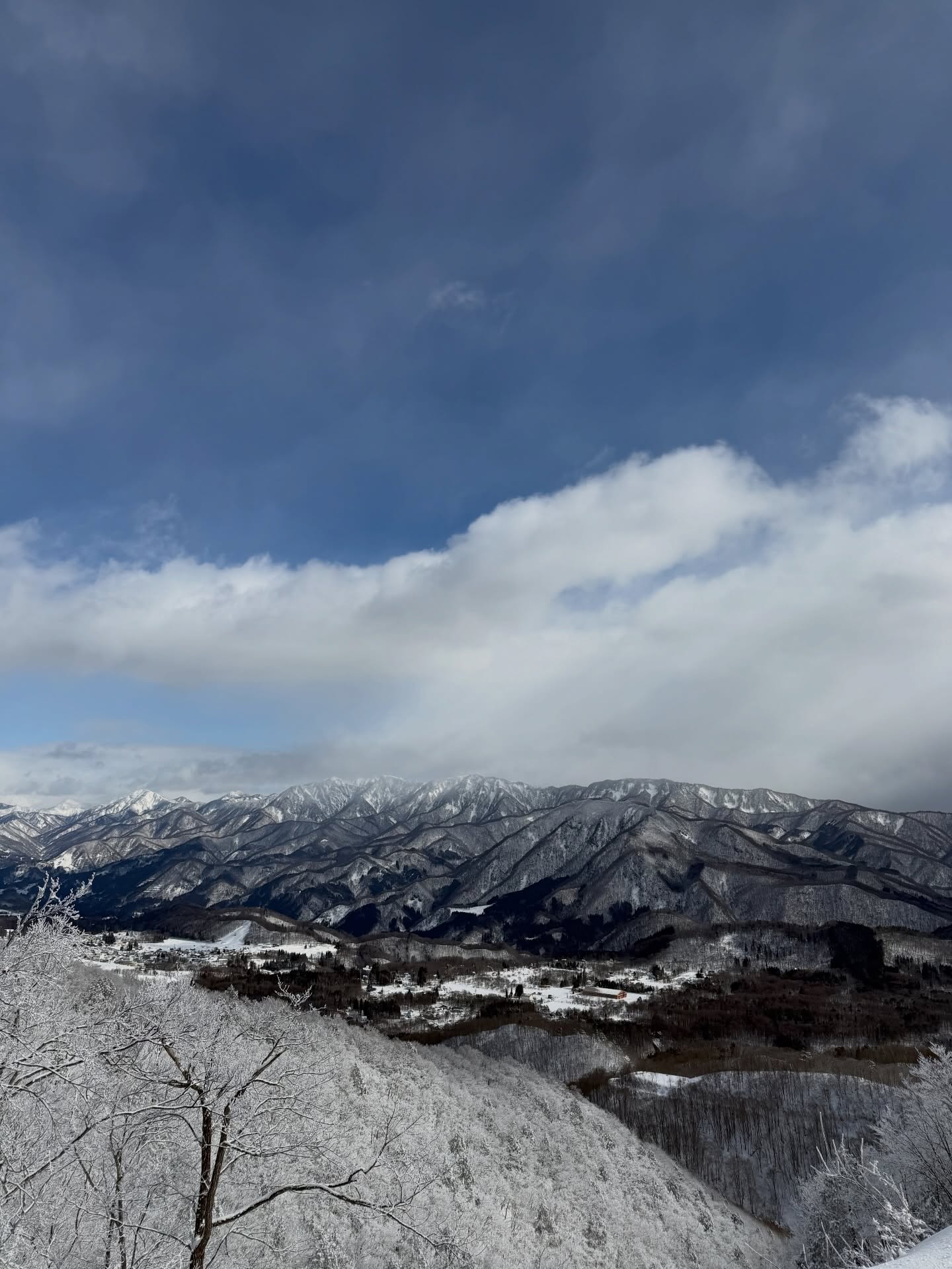 ลิซ่า - ลลิษา มโนบาล