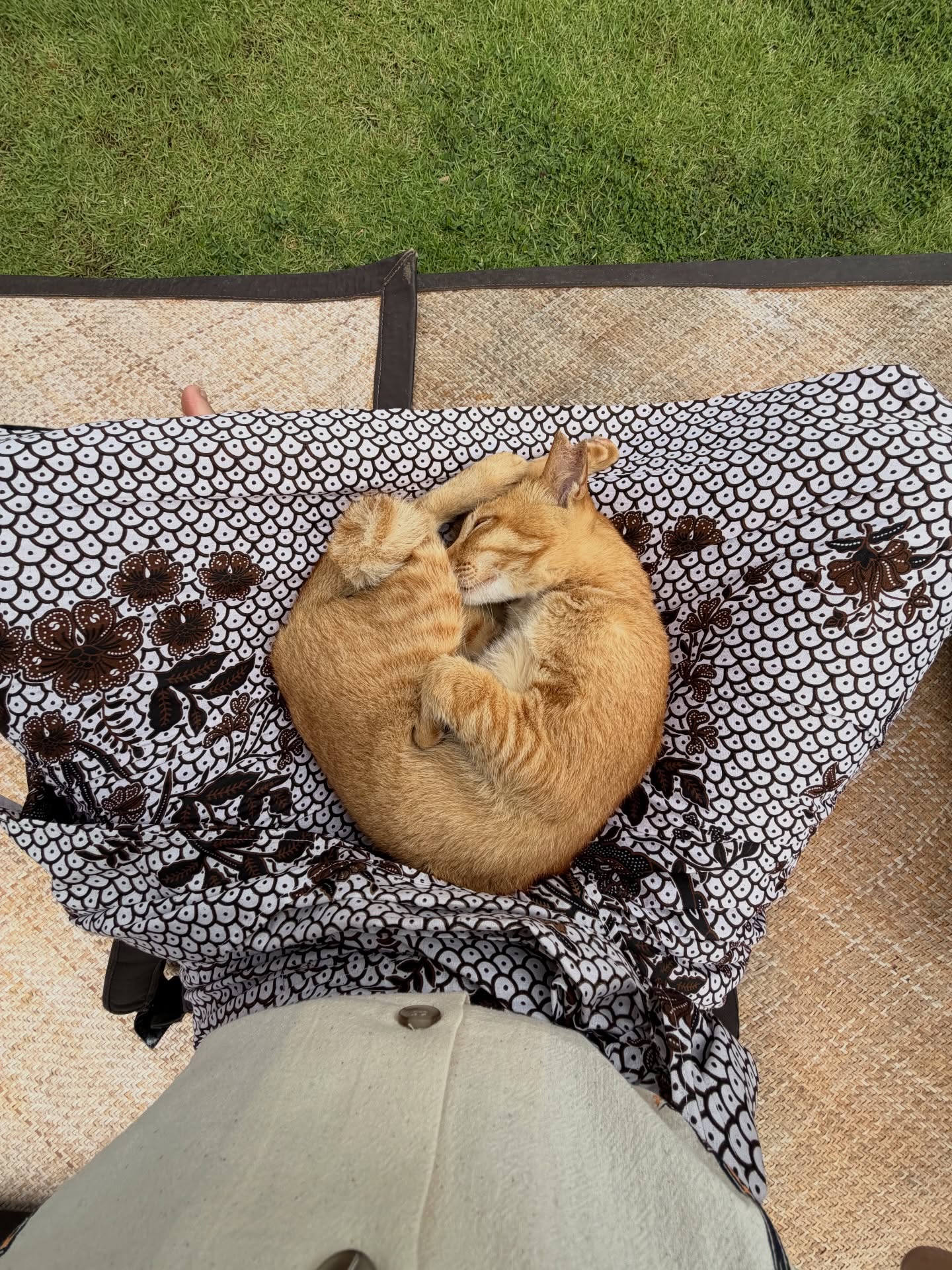 ลิซ่า - ลลิษา มโนบาล