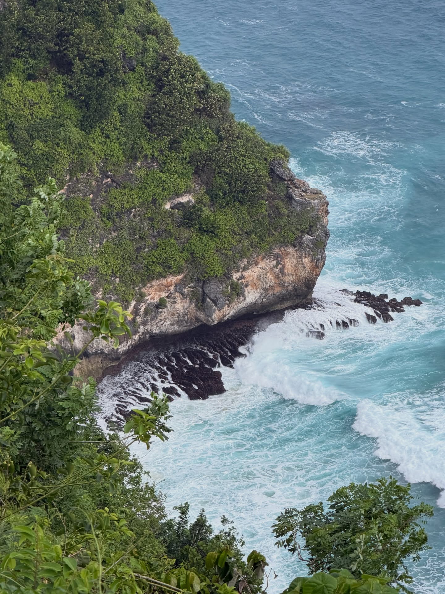 ลิซ่า - ลลิษา มโนบาล