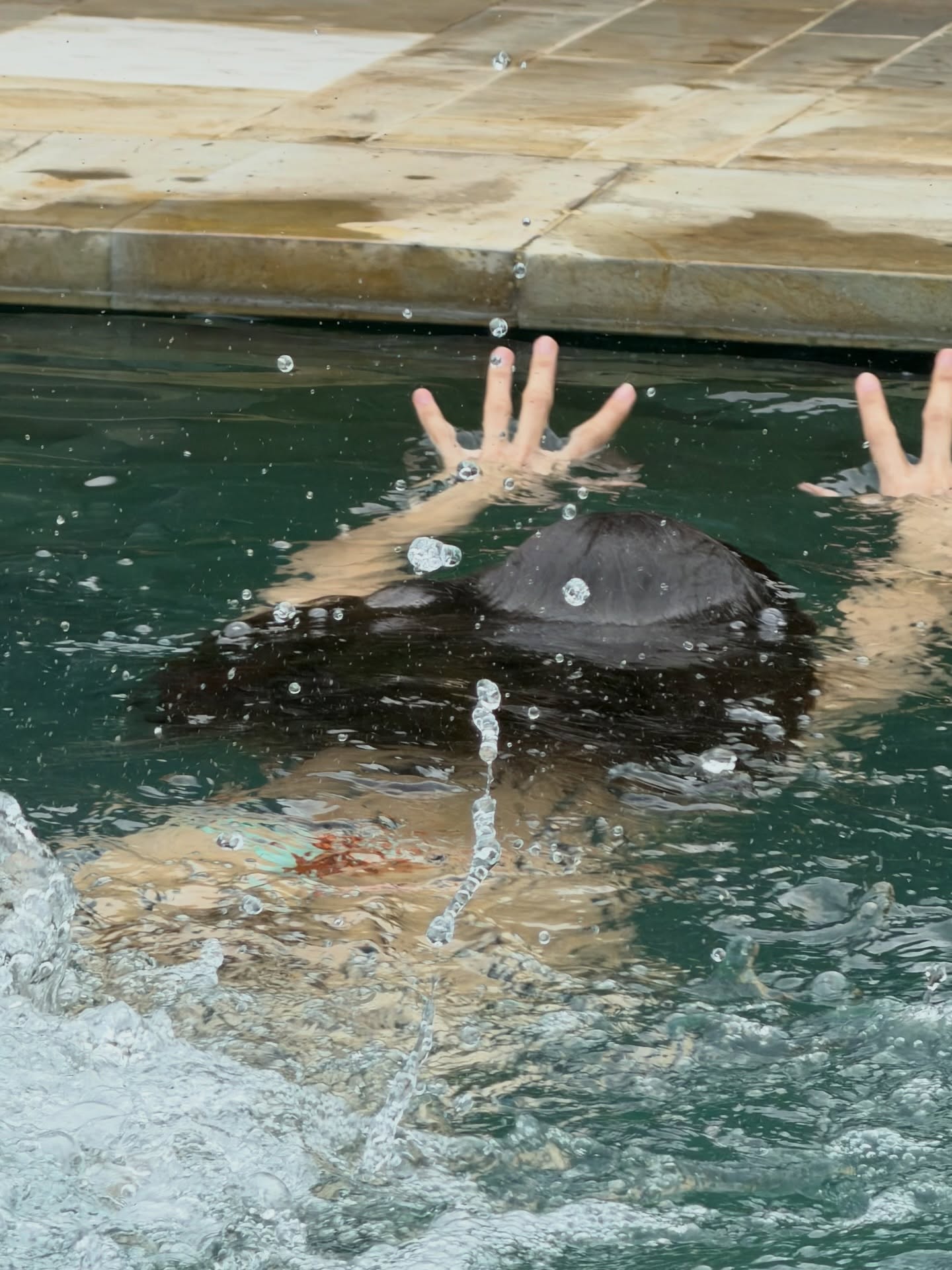 ลิซ่า - ลลิษา มโนบาล