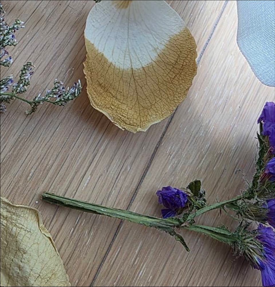 ก้อย - อรัชพร โภคินภากร