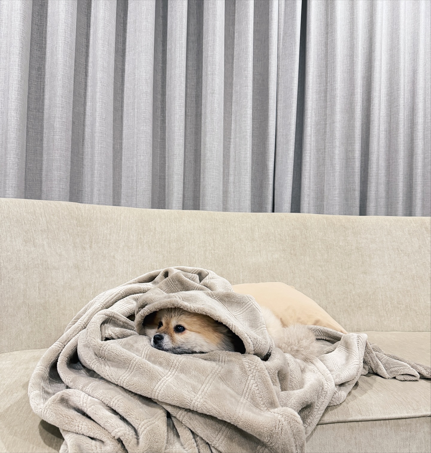 ก้อย - อรัชพร โภคินภากร