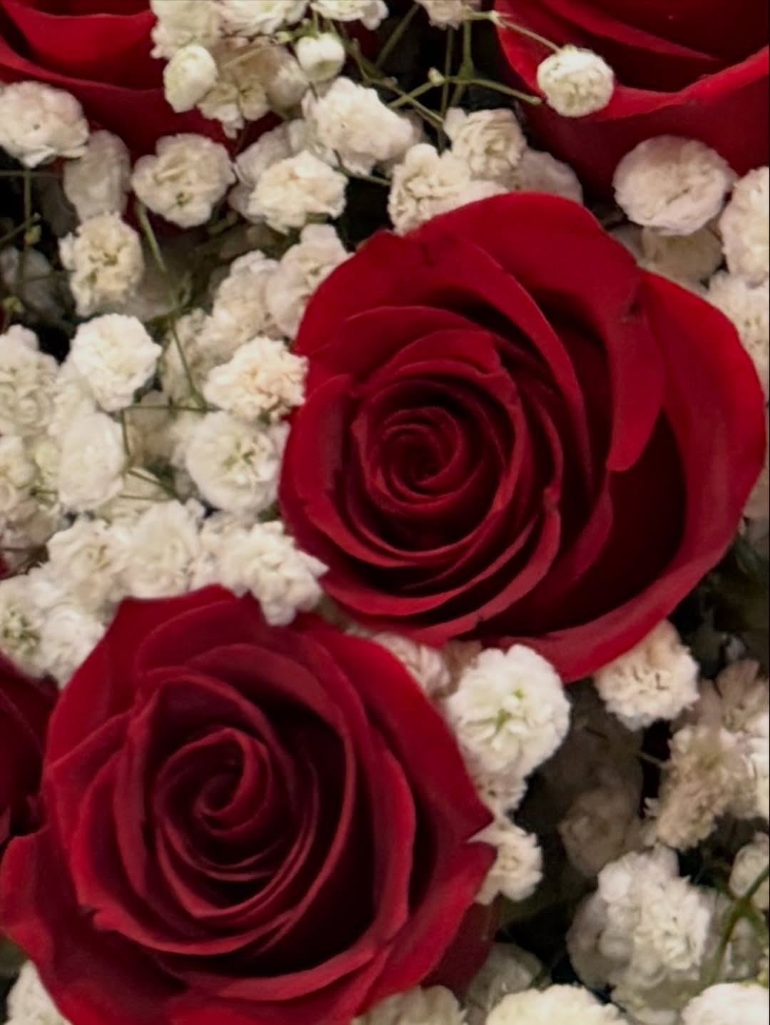 ก้อย - อรัชพร โภคินภากร