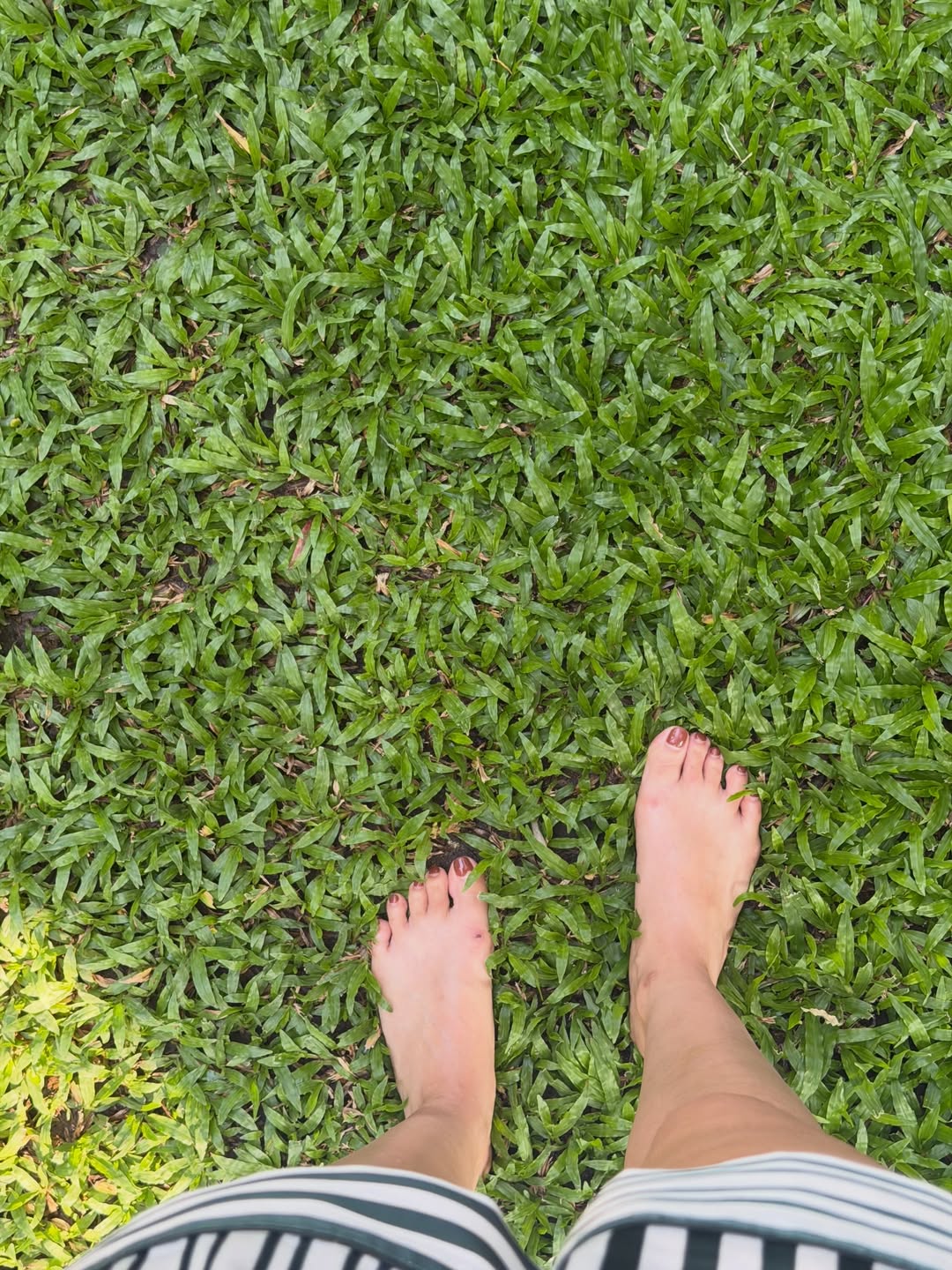 ก้อย - อรัชพร โภคินภากร