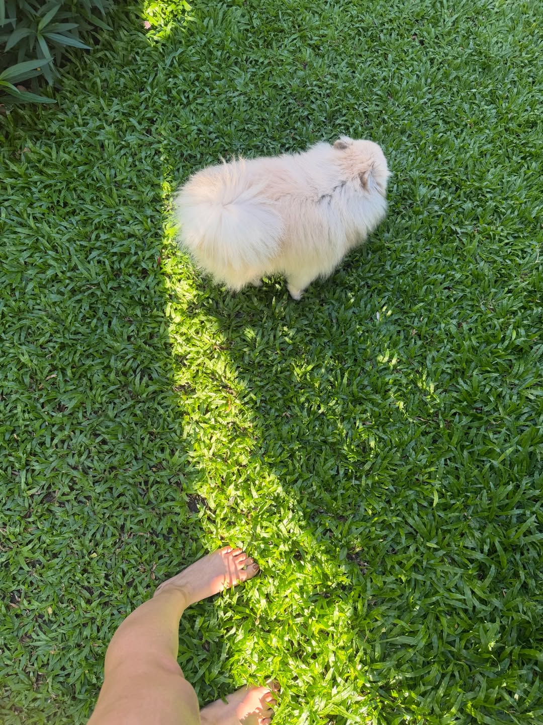 ก้อย - อรัชพร โภคินภากร