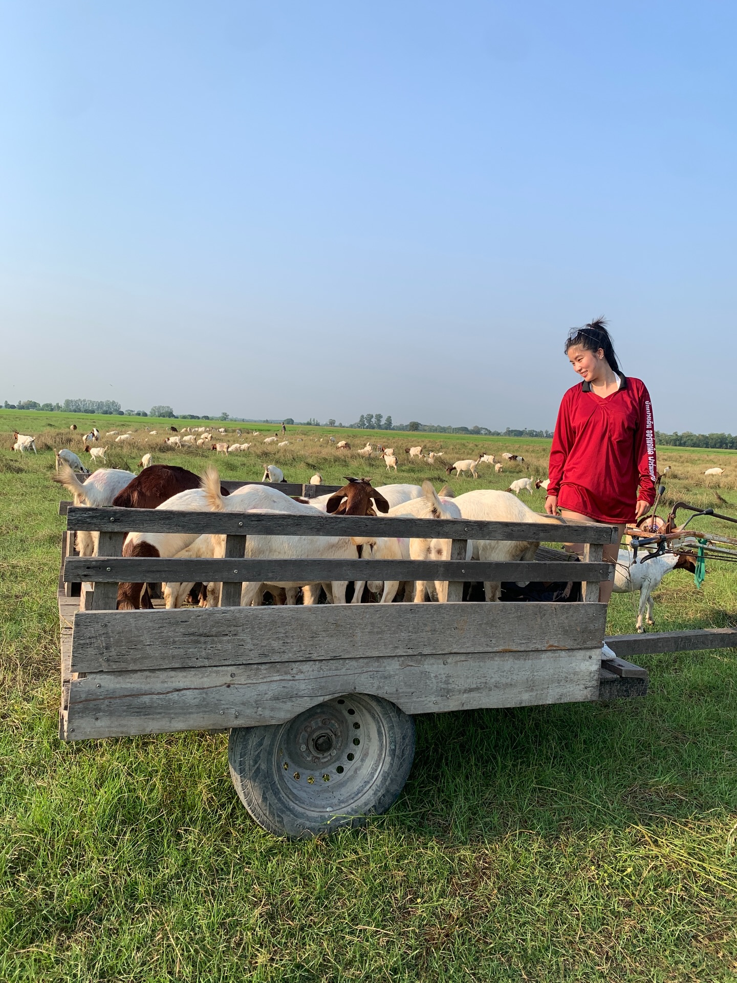 ก้อย - อรัชพร โภคินภากร