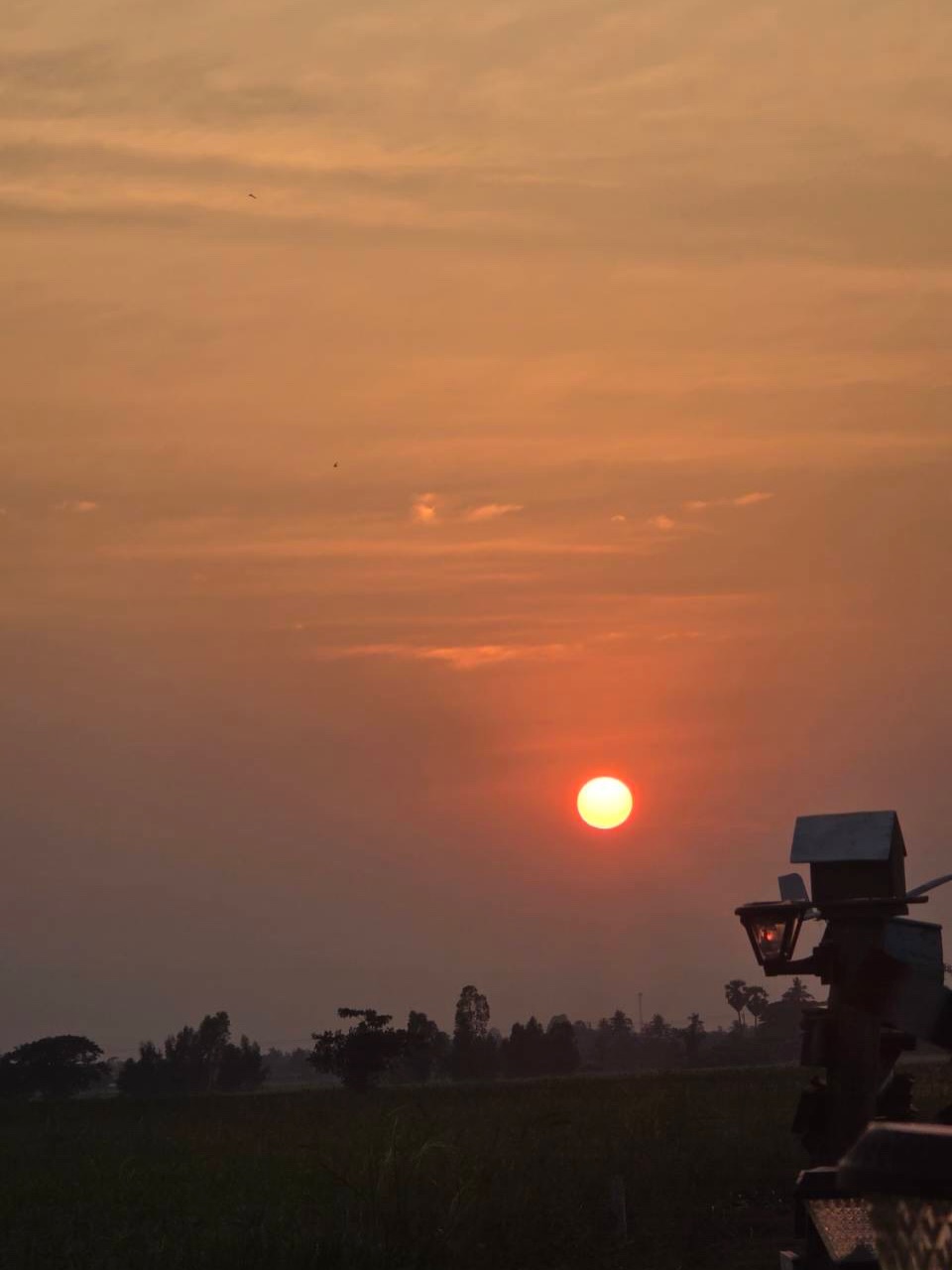 ก้อย - อรัชพร โภคินภากร