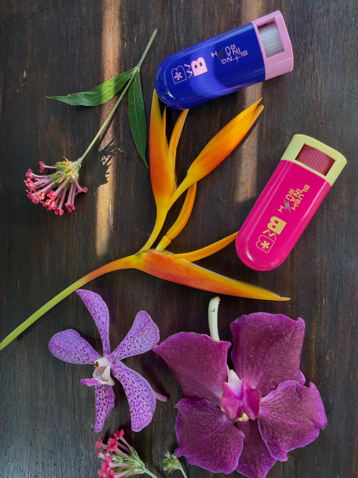 ก้อย - อรัชพร โภคินภากร