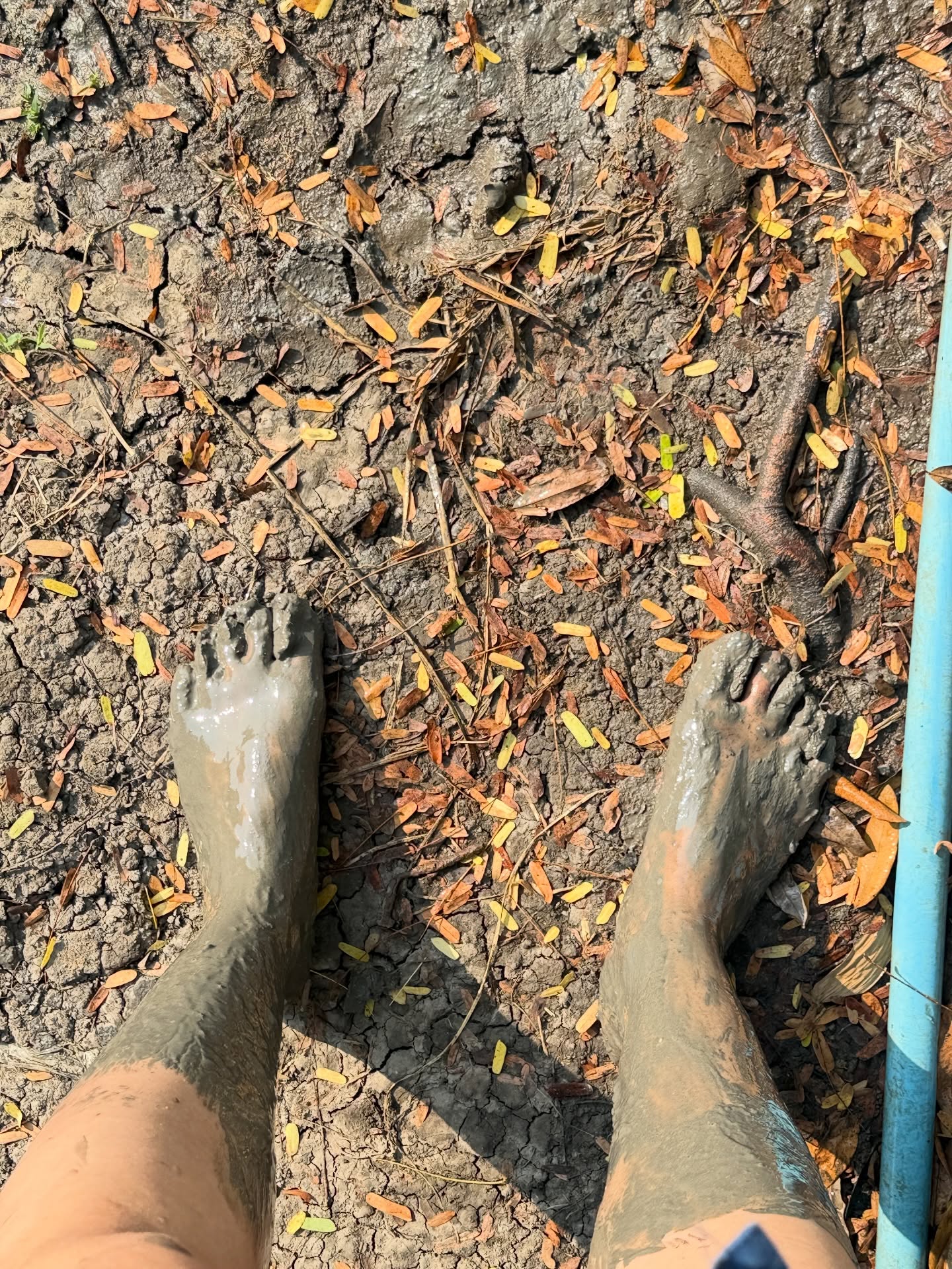 ก้อย - อรัชพร โภคินภากร