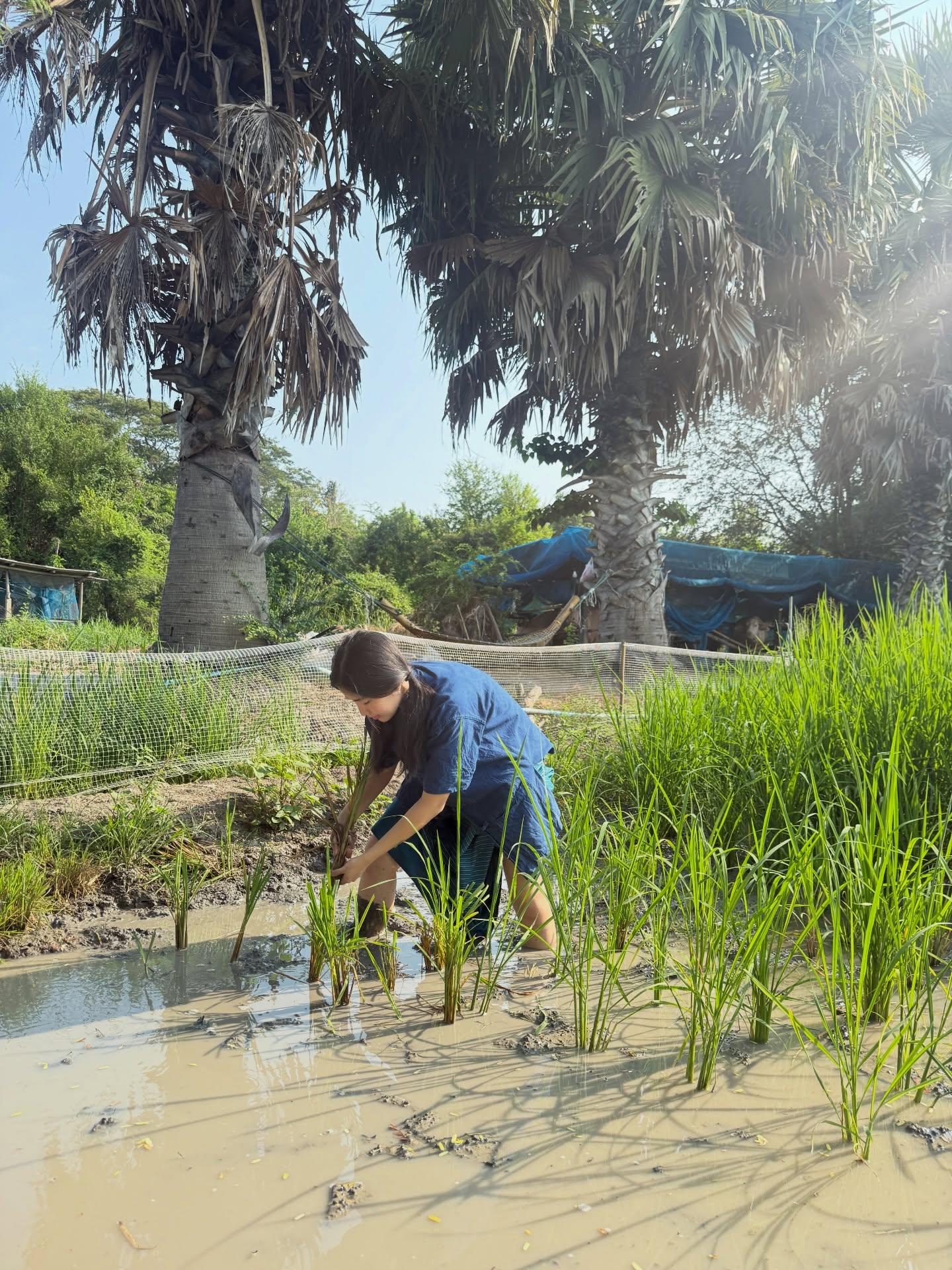 ก้อย - อรัชพร โภคินภากร