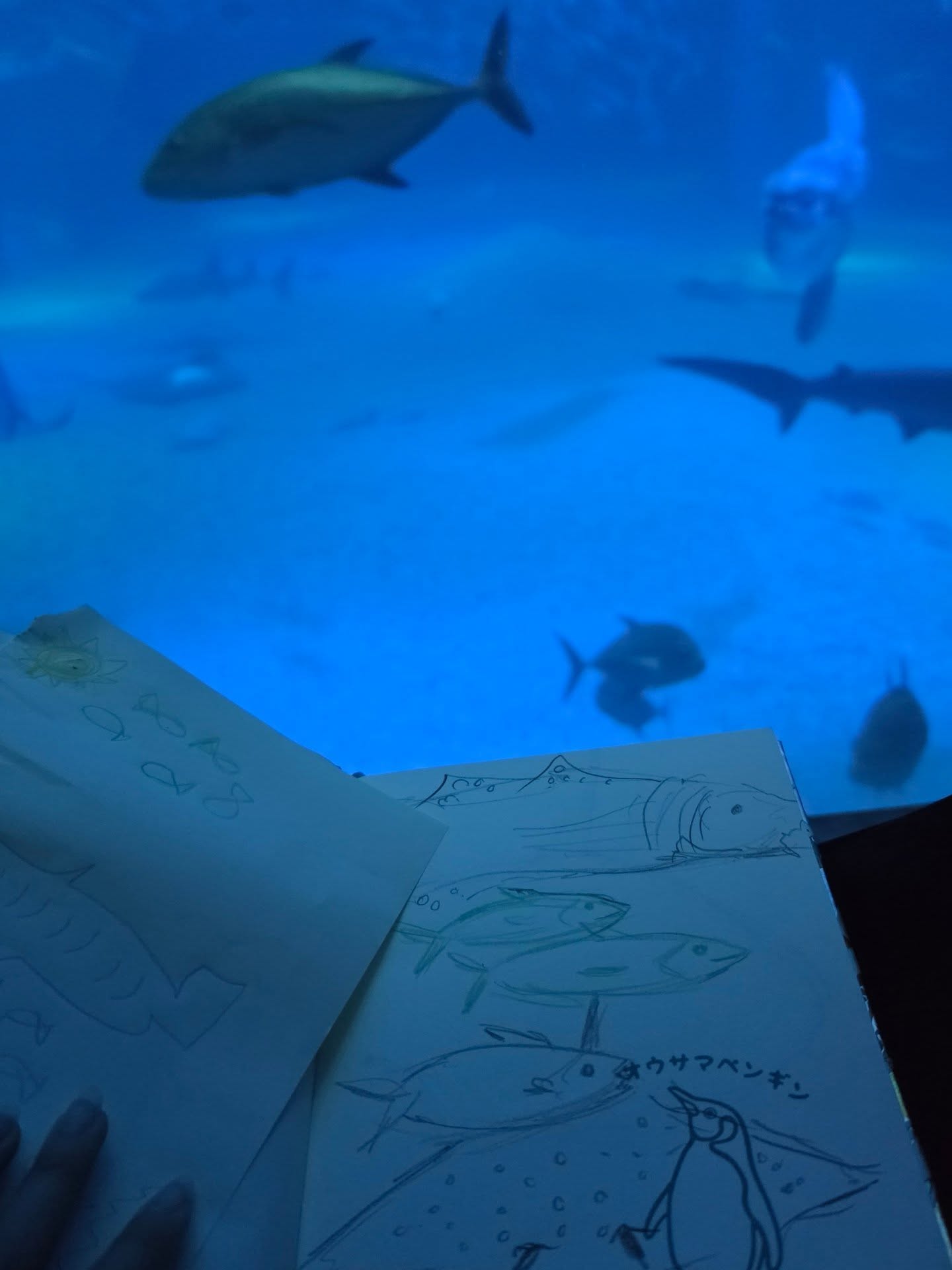 ก้อย - อรัชพร โภคินภากร