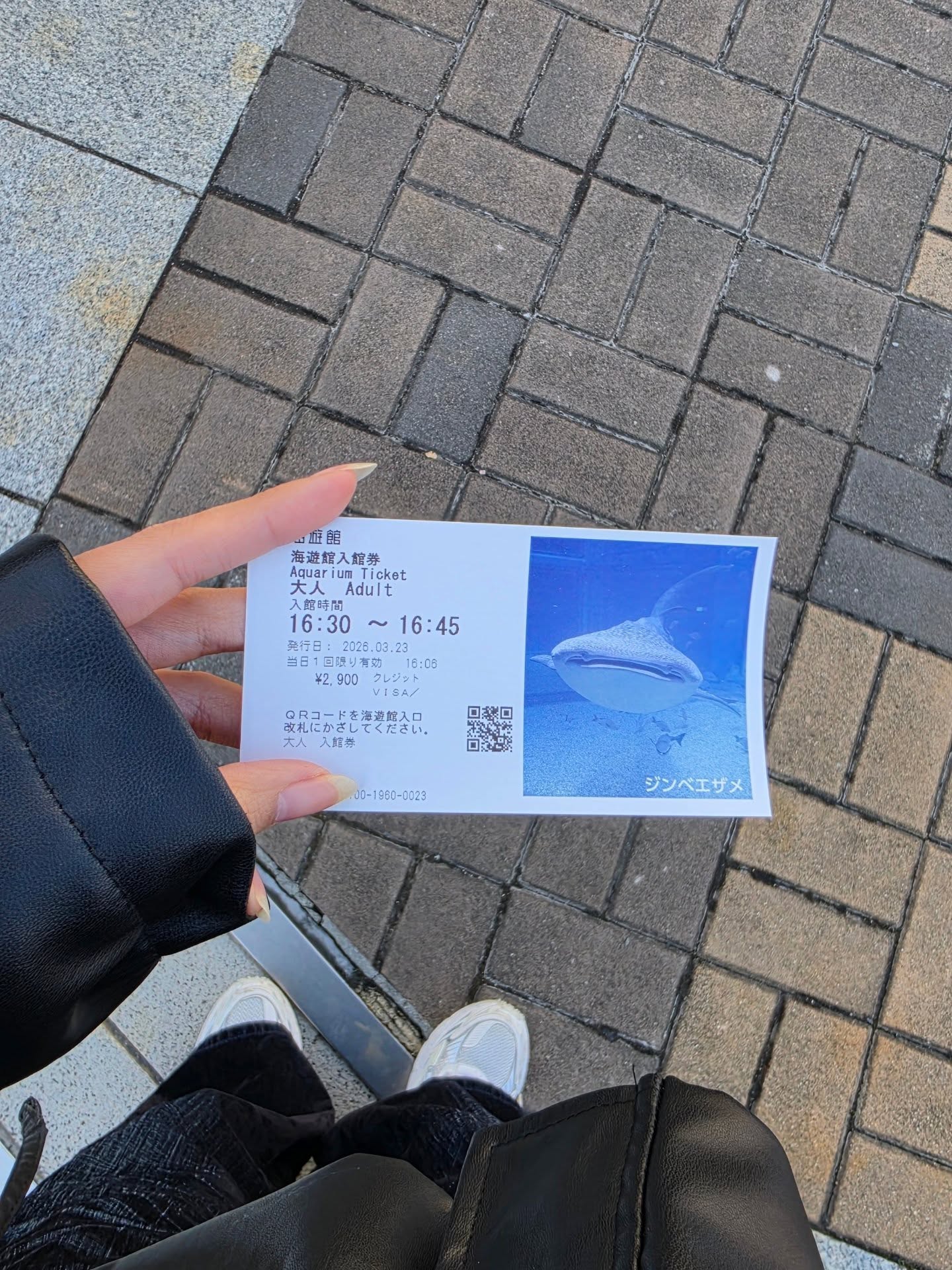 ก้อย - อรัชพร โภคินภากร