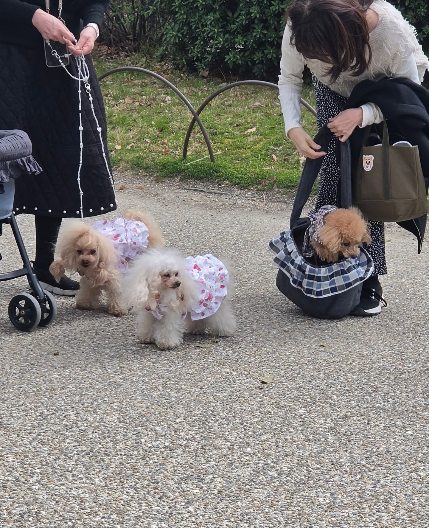 ก้อย - อรัชพร โภคินภากร