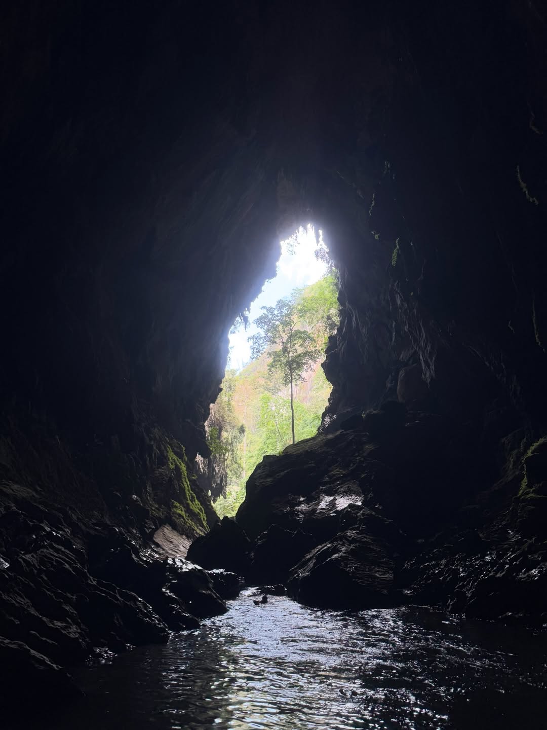 ก้อย - อรัชพร โภคินภากร