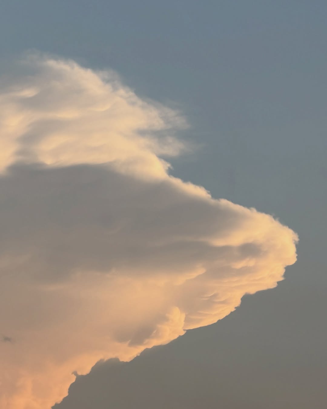 ก้อย - อรัชพร โภคินภากร